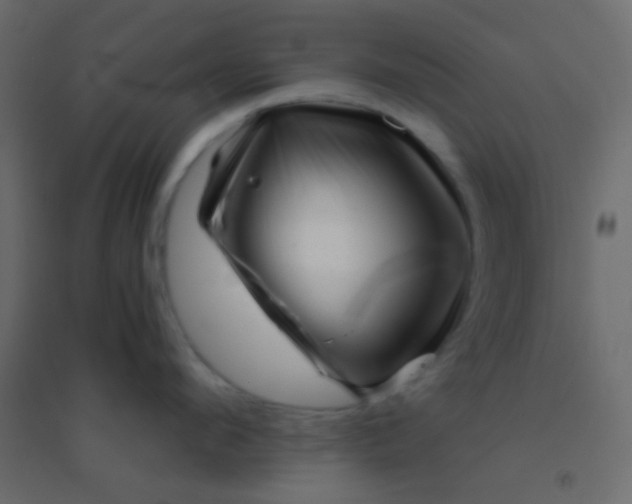 X0000094930912200712131534