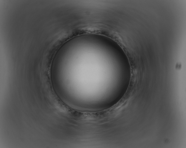 X0000094930913200712131533