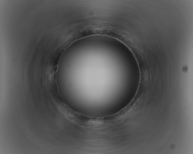 X0000094930914200712131533