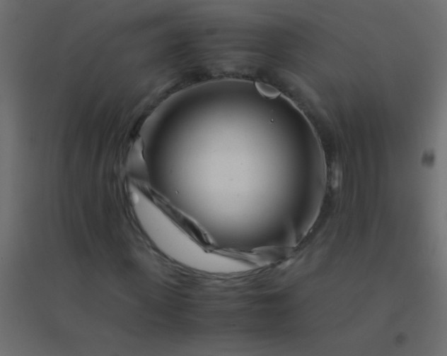 X0000094930915200712131533