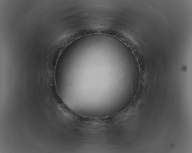 X0000094930917200712131533