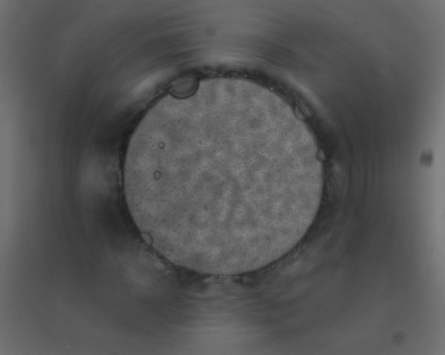 X0000094930918200712131533
