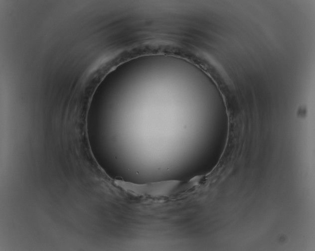 X0000094930919200712131533