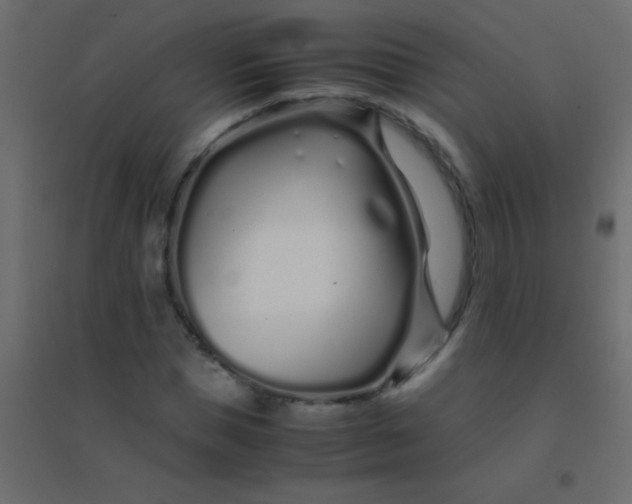 X0000094930921200712131533