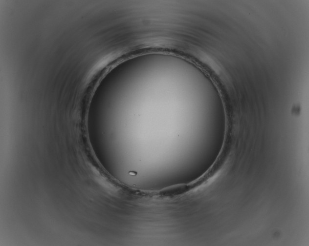 X0000094930922200712131533