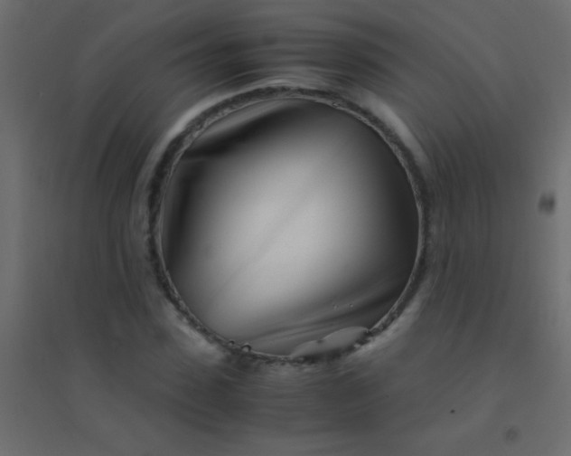 X0000094930923200712131533