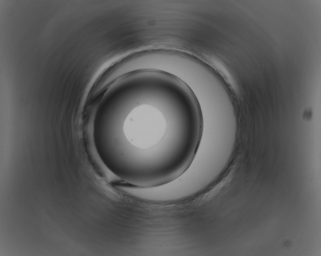 X0000094930924200712131533