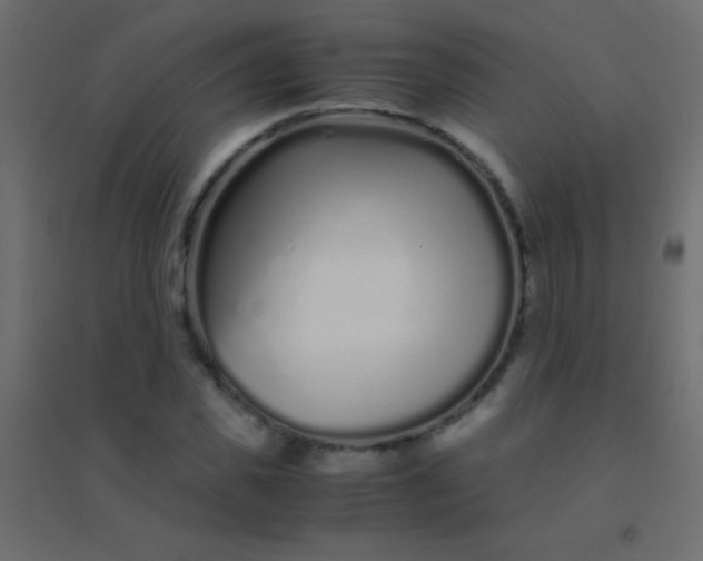 X0000094930925200712131533