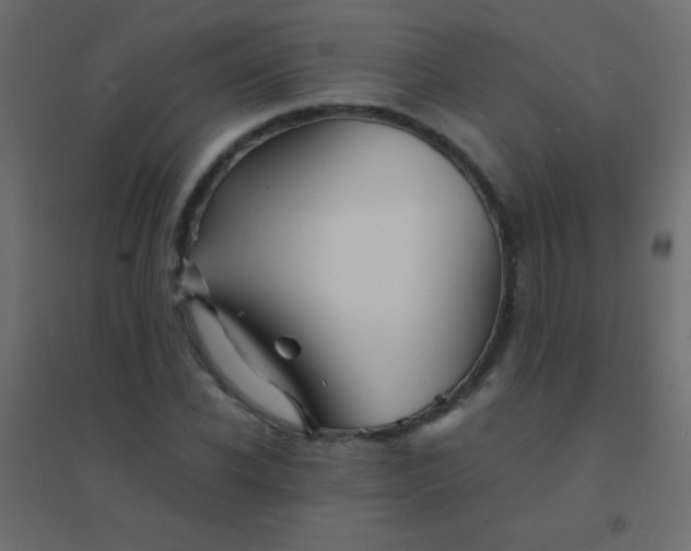 X0000094930926200712131534