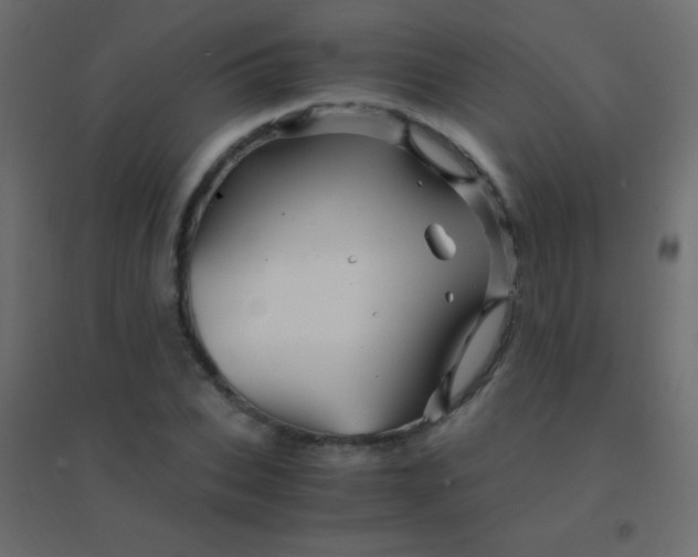 X0000094930927200712131534
