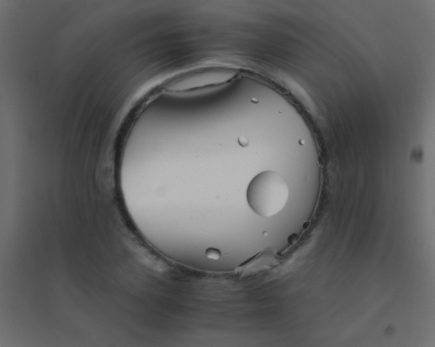 X0000094930931200712131534