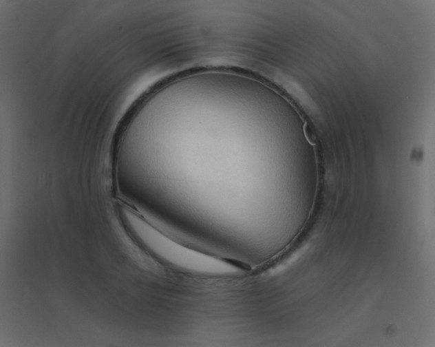 X0000094930934200712131534