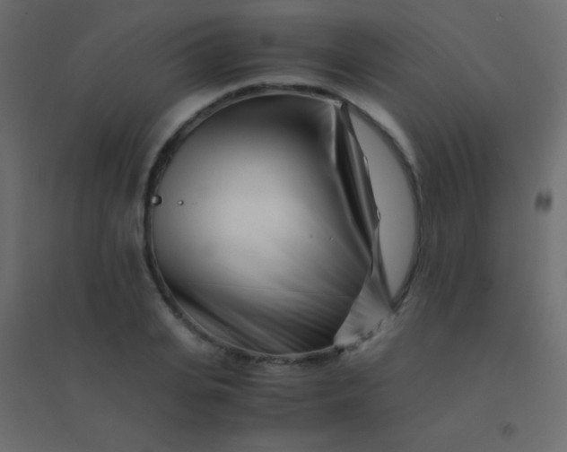 X0000094930935200712131534
