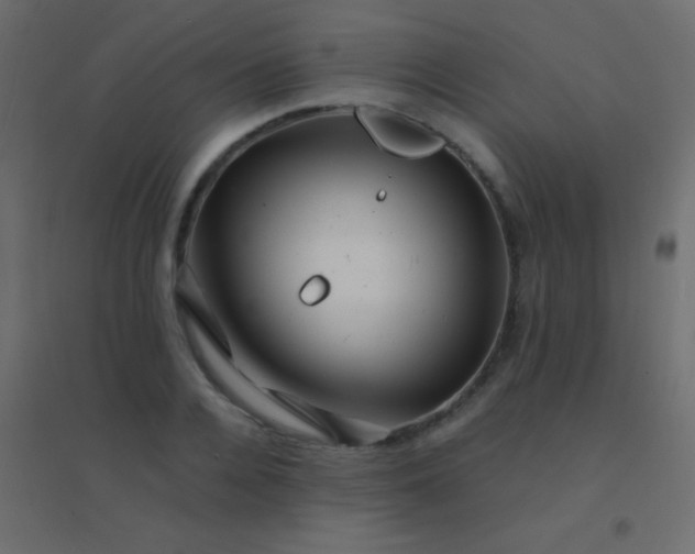 X0000094930936200712131534