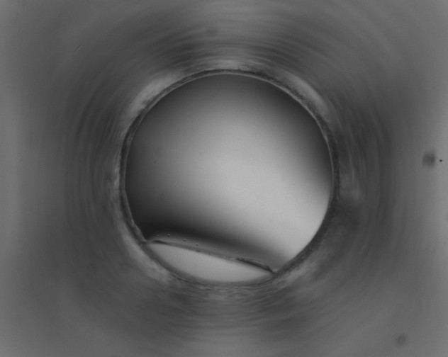X0000094930938200712131534