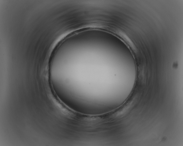 X0000094930939200712131534