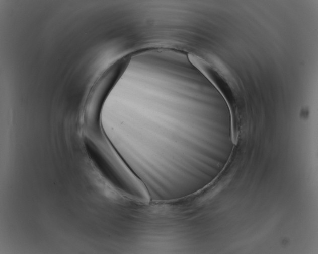 X0000094930940200712131534