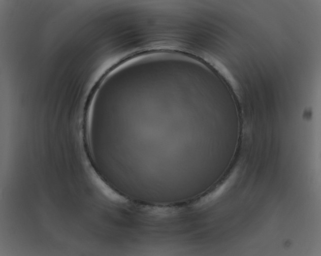 X0000094930941200712131534