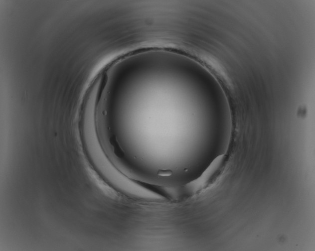 X0000094930942200712131534