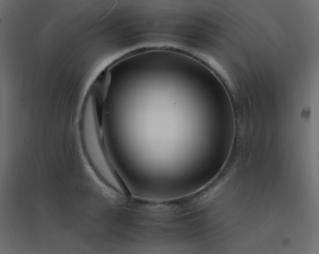 X0000094930943200712131534