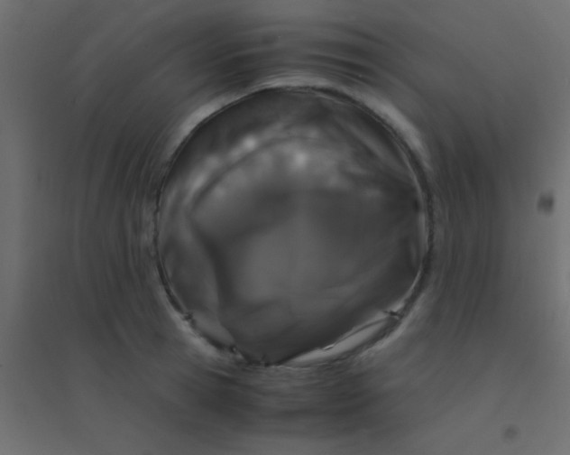 X0000094930945200712131534