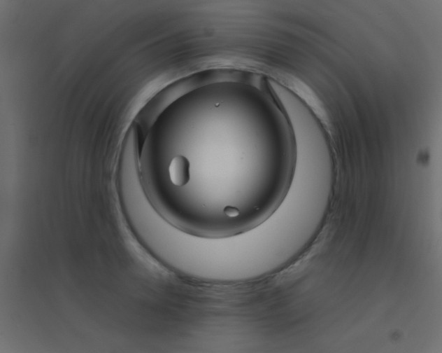 X0000094930946200712131534