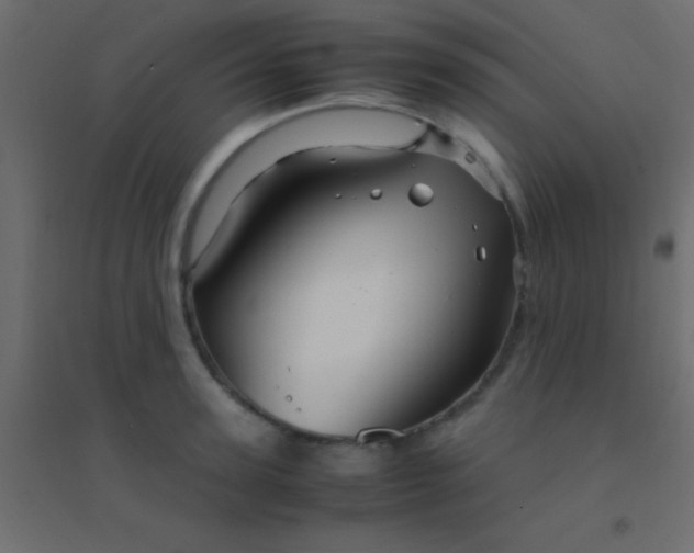 X0000094930947200712131534