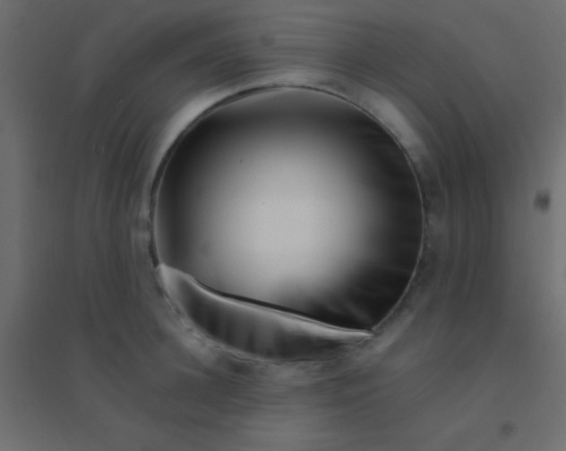 X0000094930948200712131534