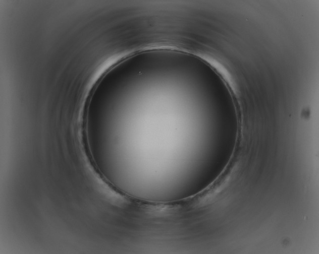 X0000094930949200712131534