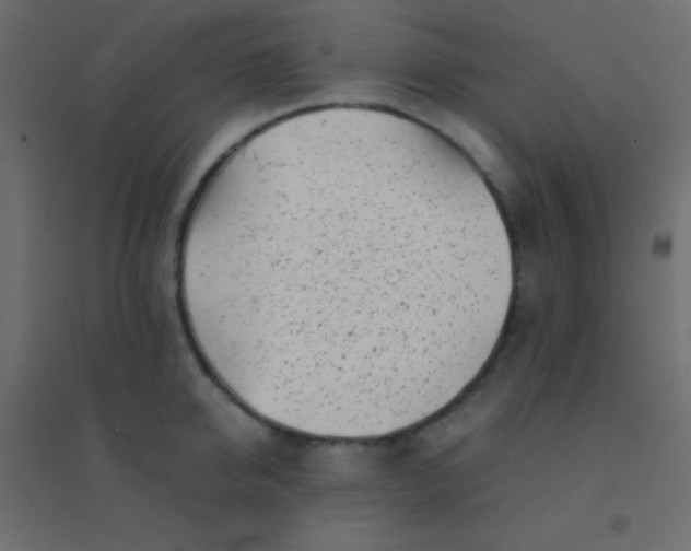 X0000094930950200712131534