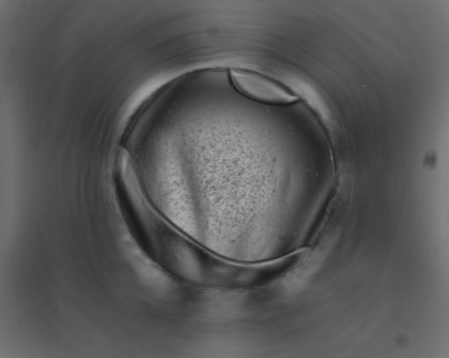 X0000094930952200712131534