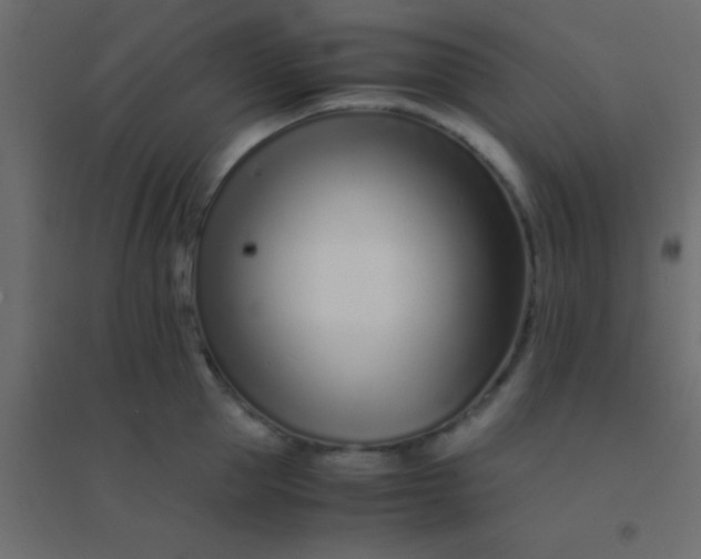 X0000094930953200712131534