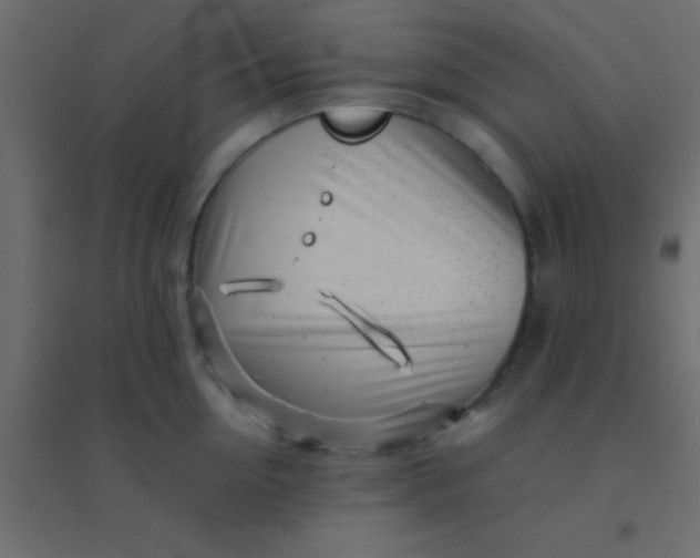 X0000094930954200712131534