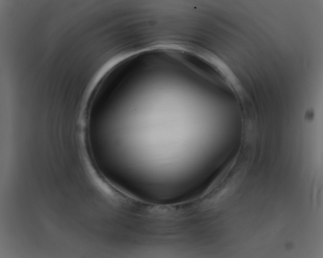 X0000094930955200712131534