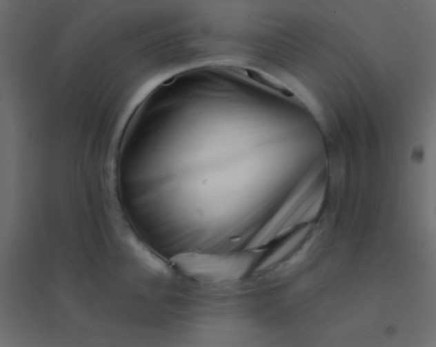 X0000094930956200712131534