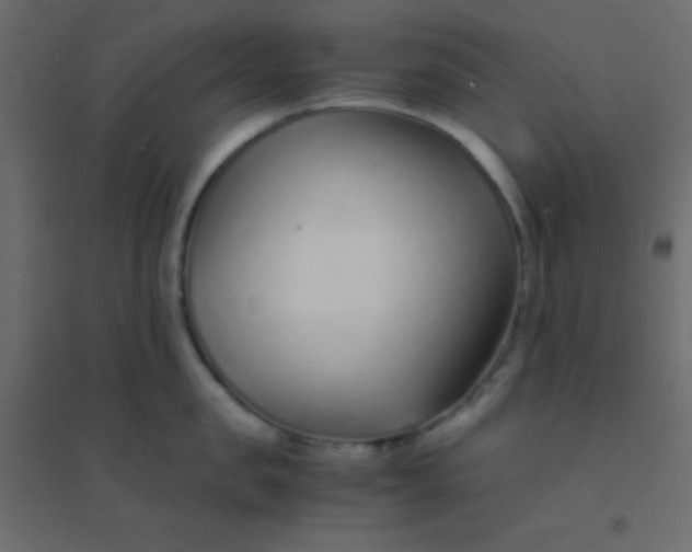 X0000094930957200712131534