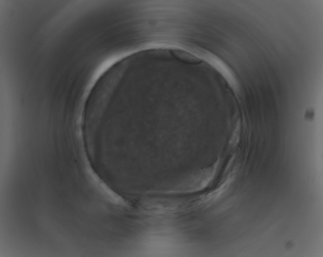 X0000094930958200712131534