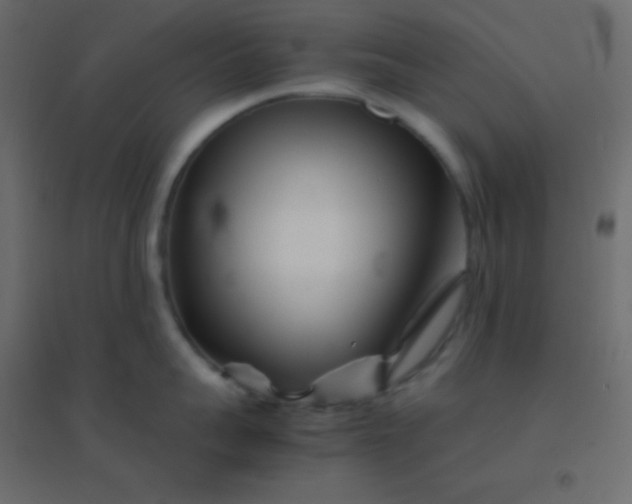 X0000094930959200712131534