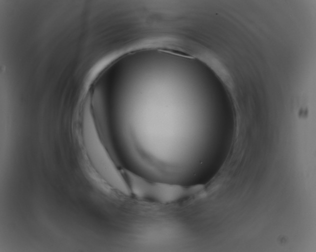X0000094930960200712131534