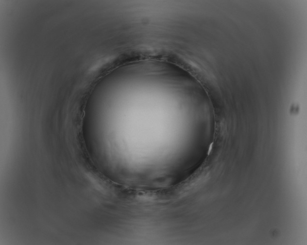 X0000094930961200712131533