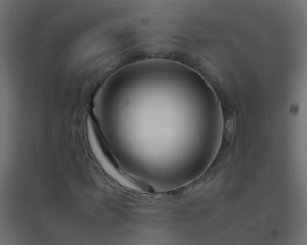 X0000094930963200712131533