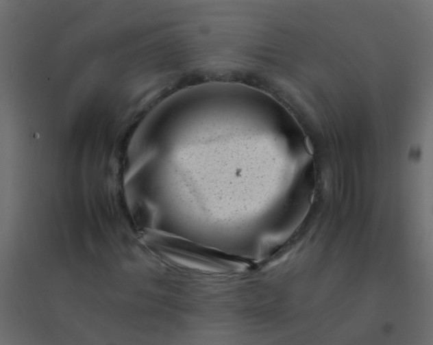 X0000094930964200712131533