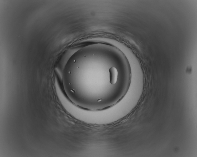 X0000094930965200712131533