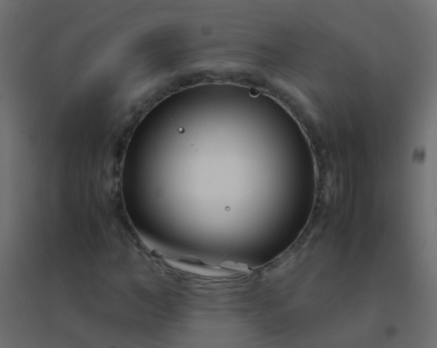 X0000094930966200712131533
