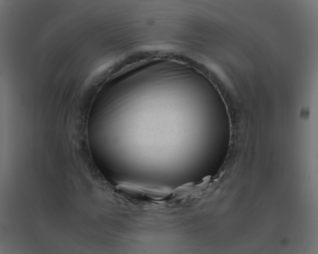 X0000094930967200712131533