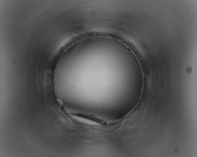 X0000094930968200712131533