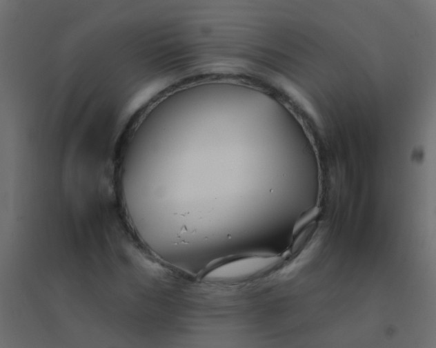 X0000094930970200712131533
