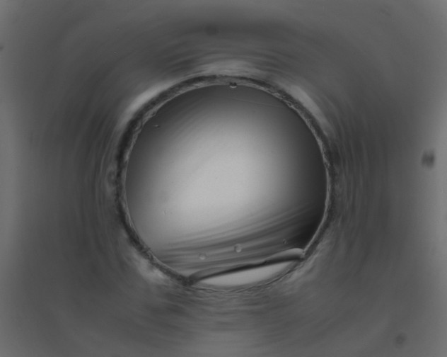 X0000094930971200712131533