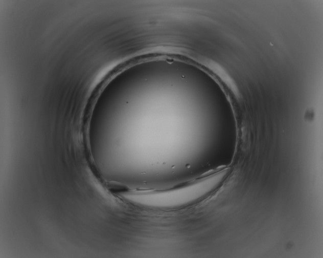 X0000094930972200712131533