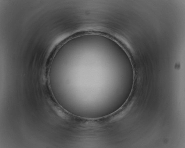 X0000094930974200712131533